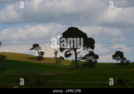 Hobbiton-Filmset und Hobbiton-Häuser in Neuseeland Stockfoto