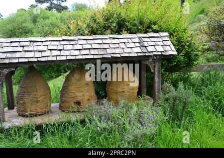 Hobbiton-Filmset und Hobbiton-Häuser in Neuseeland Stockfoto