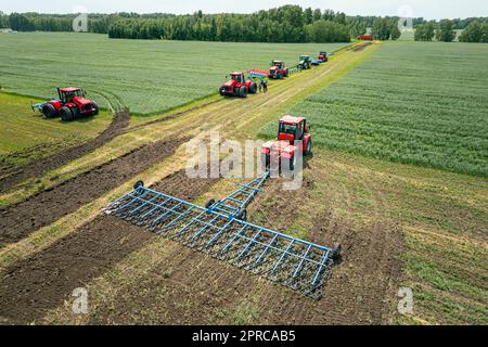Landwirtschaft Ernten von Früchten in Feldern. Traktor zieht einen Mechanismus für die Heuernte. Ernte im Herbst in der Früh in der Morgendämmerung. Agribusiness in t Stockfoto