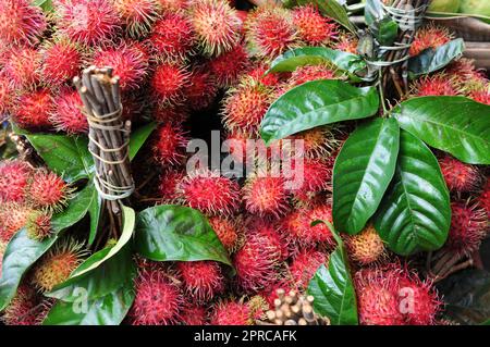 Ein Haufen Rambutan-Früchte auf einem lokalen Markt in Bangkok, Thailand. Stockfoto