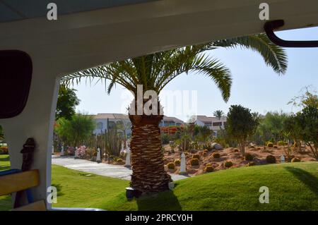 Blick auf ein tropisches Resort mit wunderschönen grünen Palmen, weißen Villen mit rot gefliesten Dächern und Kakteen aus dem Fenster eines Touristenbusses. Stockfoto