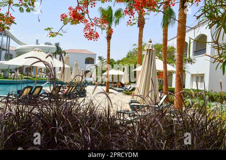 Swimmingpool mit klaren blauen Sonnenschirmen und Palmen auf einem tropischen, warmen Meeresresort, Ruhe. Stockfoto