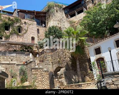 Die Bögen und Säulen des alten spanischen Regierungspalastes in der Altstadt von Havanna mit einer üppigen tropischen Vegetation. Stockfoto