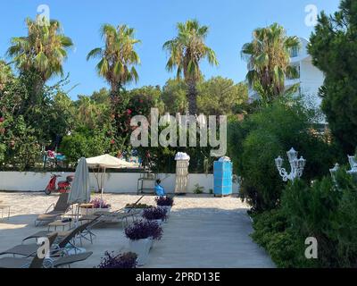 Rasenfläche zwischen Palmen im Resort. Hotel mit gepflegtem Gebiet. Stockfoto