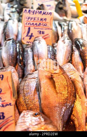 Frischer Fisch auf Eis auf einem griechischen Markt in Athen, auf dem Preise angezeigt werden Stockfoto