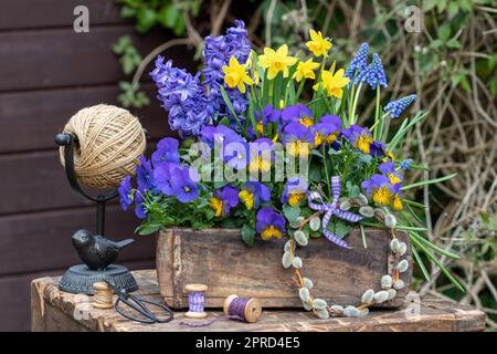 Violette Violaflumen, Hyazinthen, Muscari und Narzisse in alten Ziegelschimmelpilzen im Garten Stockfoto