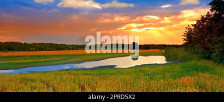 Zeit für die Ernte. Ein Foto des Sonnenuntergangs auf dem Land, Dänemark. Stockfoto