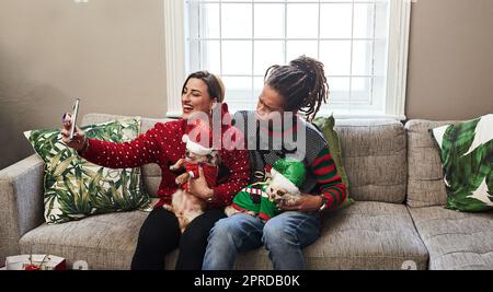 Meine Eltern werden das nicht glauben. Ein fröhliches junges Paar, das seine Hunde hält, während es zu weihnachten auf einem Sofa zu Hause sitzt. Stockfoto