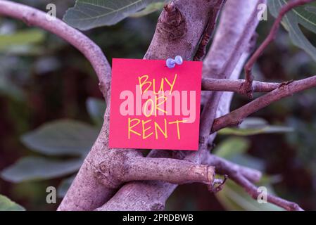 Konzeptionelle Beschriftung Kaufen oder Mieten. Konzept bedeutet Zweifel, ob man etwas besitzen kann Get it for Rent InDecision Blank Klebstoff Note, die an der Baumstelle für Business Promotion befestigt ist. Stockfoto