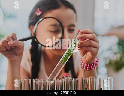 Sie lernt heute etwas Neues über Pflanzen. Ein bezauberndes kleines Mädchen, das durch eine Lupe blickt, während es zu Hause Pflanzen aus einem Reagenzglas analysiert. Stockfoto