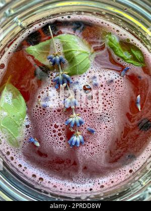 Roh fermentierte hausgemachte alkoholische oder nicht alcogolische Kombucha Superfood. Eistee mit gesunden natürlichen Probiotika in großen Gläsern, gärend Stockfoto