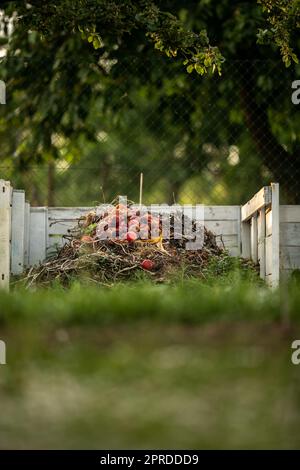 Lebensmittelabfälle in Kompostgrube im privaten Garten. Verrottet organische Abfälle für Kompost. Im Freien. Stockfoto