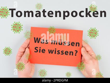 Die Worte Tomatenpocken, was Sie wissen müssen, stehen in deutscher Sprache auf einem Papier, Ausbruch des Virus in Indien, Ausbreitung von Infektionskrankheiten Stockfoto