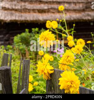 Wunderschöne Herbstlandschaften in Subkarpathien. Stockfoto