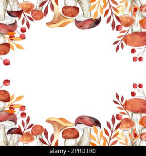 Quadratischer Rahmen in Aquarellfarbe auf weißem Hintergrund. Bemalte Waldpilze, Rowan-Beeren, Blätter und Gras. Stockfoto