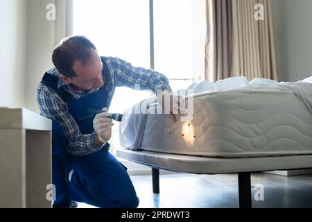 Bettwanzbefall Und Behandlungsservice Stockfoto