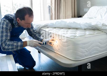 Bettwanzbefall Und Behandlungsservice Stockfoto