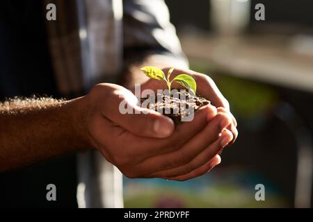 Jeder kleine Schritt zählt zu etwas großem. Nahaufnahme eines nicht erkennbaren Geschäftsmannes, der eine Pflanze hält, die aus dem Boden wächst. Stockfoto