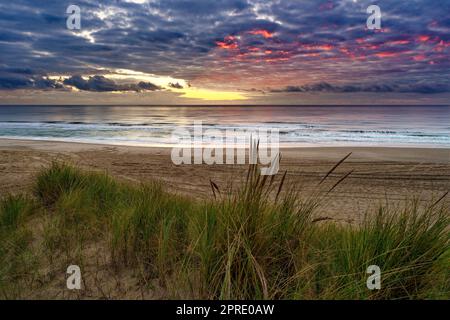 Sonnenuntergang am Meer, Strandgras vor der Tür. North Holland Dune Reserve, Egmond aan Zee, Niederlande. Stockfoto