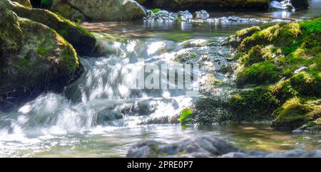 Moos-bedeckte Steine in einem Bergbach Stockfoto