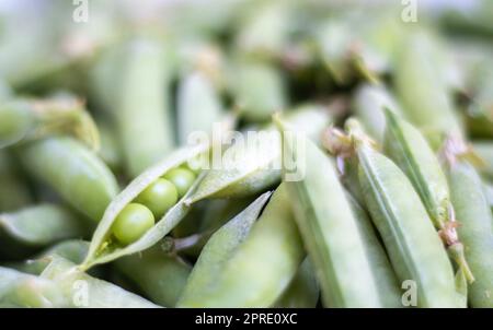 Viele grüne Erbsen. Ungeschälte junge grüne Erbsen aus der Nahaufnahme. Grüner Hintergrund. Gesunde und umweltfreundliche Lebensmittel. Vegetarische Gerichte. Gemüseernte. Schöne Nahaufnahme von frischen Erbsen und Erbsenschoten. Stockfoto