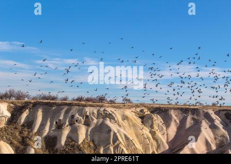 Fliegende Tauben in capadoccia Stockfoto