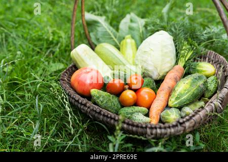 Es gibt einen Holzkorb mit hausgemachtem Gemüse im Garten. Selektiver Fokus. Das Konzept der Gartenernte, Nahaufnahme. Landwirtschaft. Stockfoto