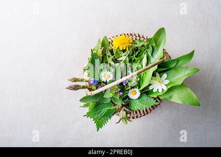 Frühlingskorb mit Blumen, Kräutern und Pflanzen. Wilder Knoblauch, Brennnessel, Löwenzahn und andere Heilkräuter sowie wilde essbare Pflanzen, die in EA wachsen Stockfoto