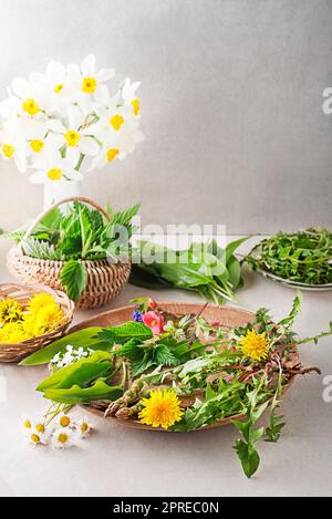 Frühlingstisch mit Blumen, Kräutern und Pflanzen. Wilder Knoblauch, Brennnessel, Löwenzahn und andere Heilkräuter sowie wilde essbare Pflanzen, die im Ohr wachsen Stockfoto