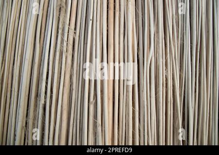 Reihen und Reihen von braunen Jute Sticks Texturhintergrund eines Feldes Stockfoto