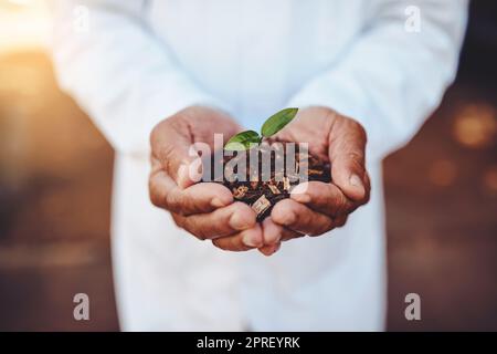 Förderung einer besseren Gesundheit und Wohlbefinden. Nahaufnahme eines nicht erkennbaren Arztes, der eine Pflanze hält, die aus dem Boden wächst. Stockfoto