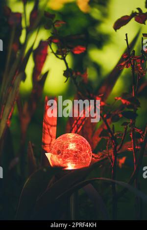 Nachtansicht auf das Blumenbeet, beleuchtet von energiesparender, solarbetriebener, farbenfroher Laterne auf dem Yard. Schöner Kleiner Garten Mit Rotem Licht, Lampe Im Blumenbett. Gartengestaltung Stockfoto