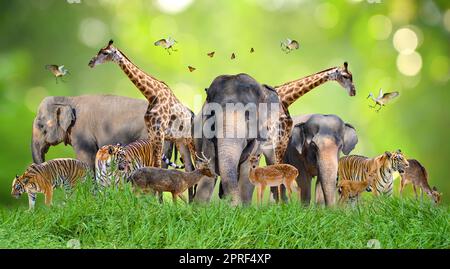 World Animal Day World Wildlife Day Gruppen von wilden Tieren wurden in den Händen der Menschen versammelt Stockfoto