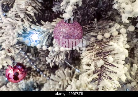 Lila glänzende Kugeln auf dem Weihnachtsbaum. Weiße Perlen auf Fichtenzweigen. Die Äste sind mit Frost bedeckt. Hintergrund zu Weihnachten oder Neujahr Stockfoto