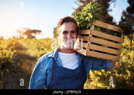 Die Güte der Natur tragen. Beschnittenes Porträt eines hübschen jungen Mannes, der auf einem Bauernhof eine Kiste voller frisch gepflückter Produkte in der Hand hält. Stockfoto