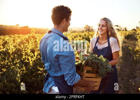Ein hübscher junger Mann und eine attraktive junge Frau arbeiten zusammen auf einem Bauernhof. Stockfoto