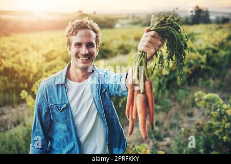 So sieht Zeit und Mühe aus. Abgeschnittenes Porträt eines gutaussehenden jungen Mannes, der einen Haufen Karotten hält und mit seiner Farm im Hintergrund lächelt. Stockfoto