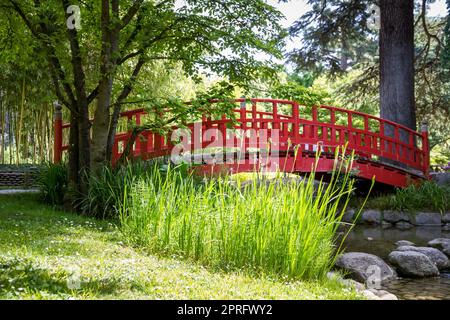 Traditionelle rote Holzbrücke auf einem japanischen Gartenteich Stockfoto