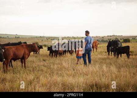 Landwirtschaft, Nachhaltigkeit und Landwirtschaft auf dem Lande mit Vater, der sich mit Mädchen auf der Rinderfarm verbindet. Eltern zeigen der Tochter das Vieh und haben Spaß. Reden, spazieren gehen und Familienurlaub in der Natur genießen Stockfoto