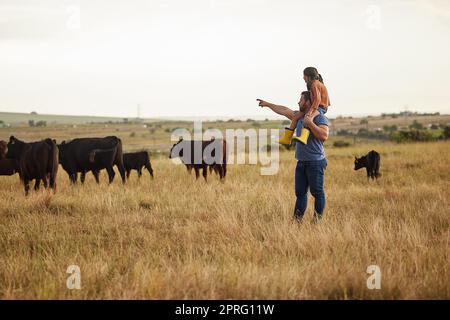 Nachhaltigkeit, Natur und Landwirt, die der Tochter beibringen, wie sie auf einem Rinderhaltungsbetrieb Vieh pflegt. Liebevolle Eltern, die sich mit ihrem kleinen Kind verbinden, gemeinsam die frische Natur genießen und Spaß auf dem Feld haben Stockfoto