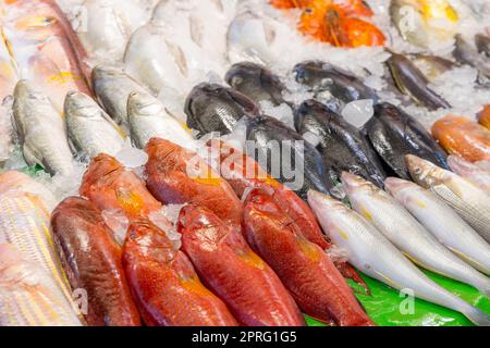 Fisch, der auf dem Frischmarkt verkauft wird Stockfoto