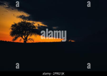 Sonnenuntergang im Saarland mit einem Baum, an dem sich eine Leiter lehnt. Dramatischer Himmel. Ruhige und einsame Lichtstimmung Stockfoto