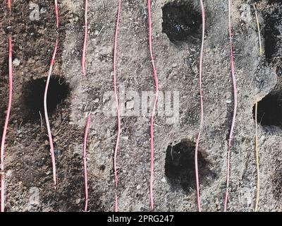 Bodenlöcher zum Anpflanzen von Pflanzen. Gartenarbeit funktioniert Stockfoto