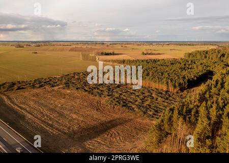 Drohnenfotografie in der Forstwirtschaft und Fällen von Bäumen im Frühling Stockfoto