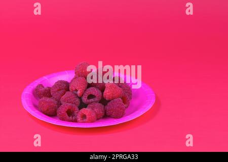 Himbeeren auf rosafarbener Papierplatte frische Bio-Beeren rote Himbeeren Früchte Stockfoto