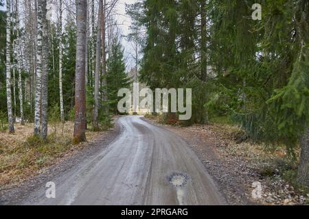 Dirtroad durchquert die Landschaft im Frühling, Schlamm und Pfützen Stockfoto