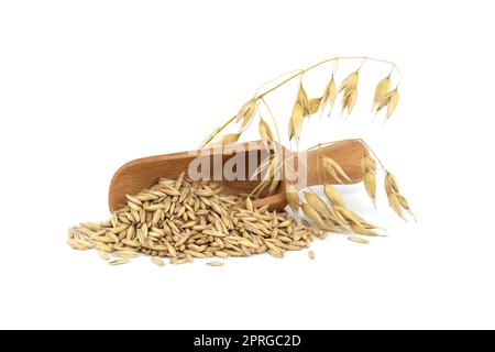 Ganze Haferkörner mit Schalen in Holzschaufel Stockfoto