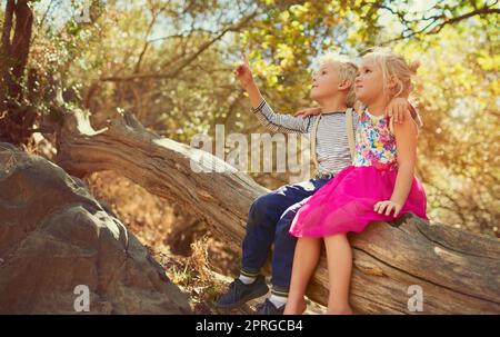 Eine Welt voller Kuriosen erkunden. Aufnahme von zwei kleinen Kindern, die im Freien zusammen spielen. Stockfoto