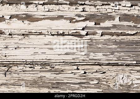 Holzwand mit weißer Farbe Stockfoto