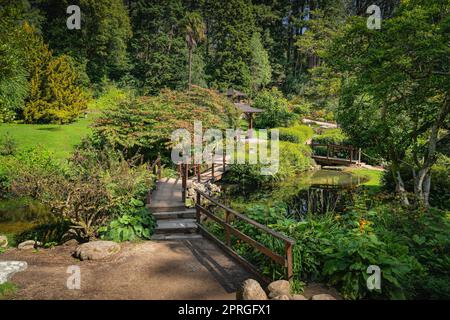 Japanischer Garten mit Teichen, Fußwegen, Brücken und grüner Vegetation in Powerscourt Gardens, Irland Stockfoto